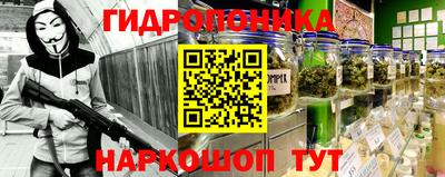 амф Камышлов
