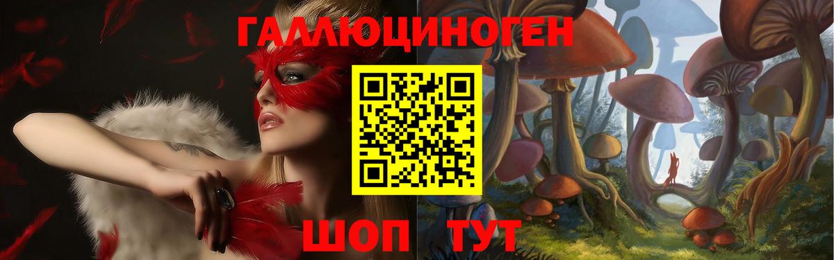 Унеча  Псилоцибиновые грибы Psilocybine cubensis  Вход с VPN 